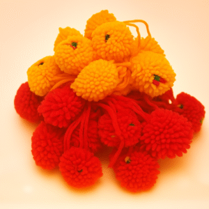 Colorful Different Color Designer Ram Rakhi Pack of 25